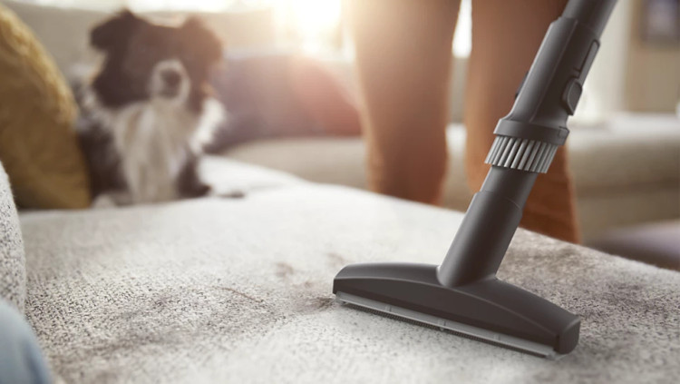 جاروبرقی فیلیپس PHILIPS مدل:XD8042