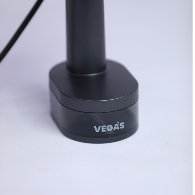 بخارگر دستی وگاس VEGAS مدل VFC-1358