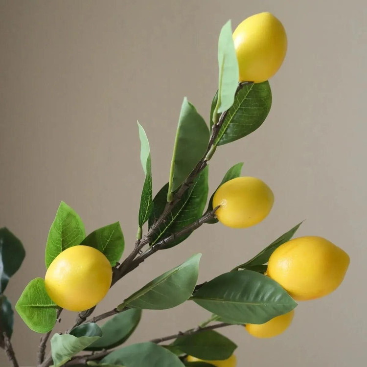 شاخه میوه مصنوعی