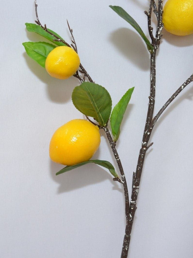 شاخه میوه مصنوعی