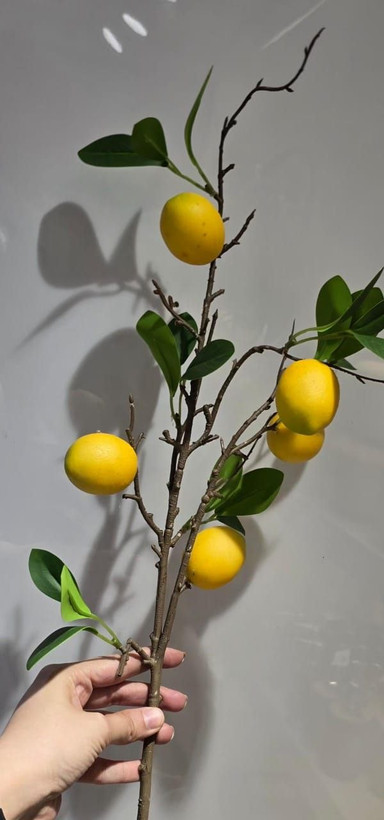 شاخه میوه مصنوعی